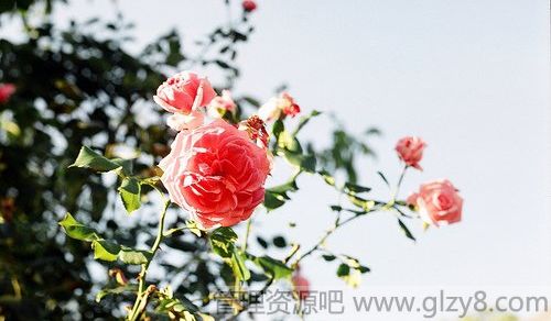 收拾心情,重新上路