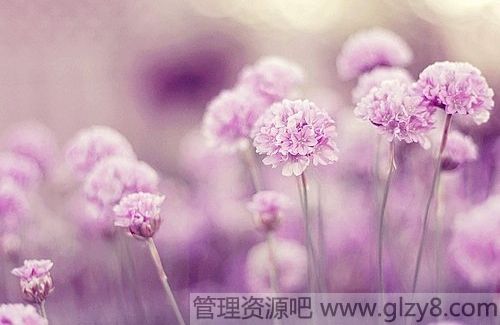 收拾心情,重新上路