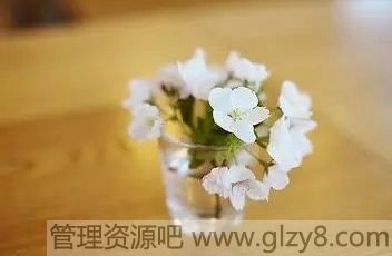 时光