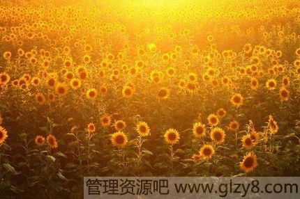 Ҽǵ㣬