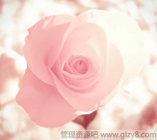 ѧ꣬Ҳزȥ!