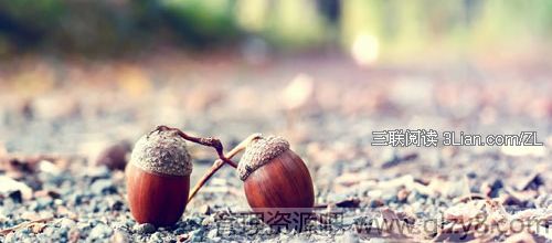 һֱڵȴԼ