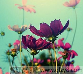 ޿ɱ,ĵݻ