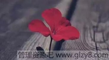 Щʹֻʺϲ