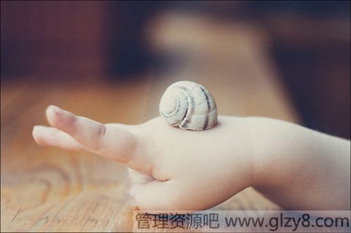 飬֮