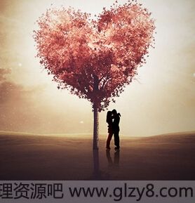 Ψ黳