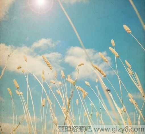 ഺ밮޹