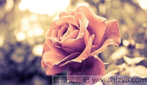ÿ˶һԼ