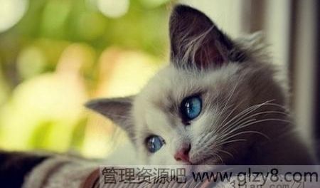 Ӧ74