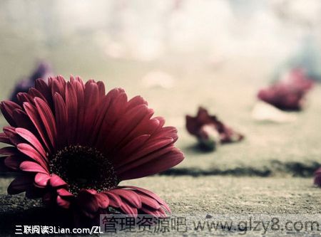 ڲϧҲһ벻