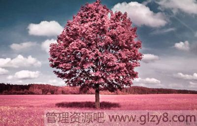 ʧҸĽŲ