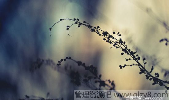 ʵ˲