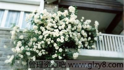 鲻֪һ
