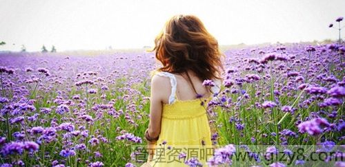 Ӧӵһֱ֮