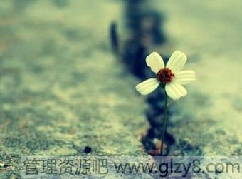 ҴżһʧԶ