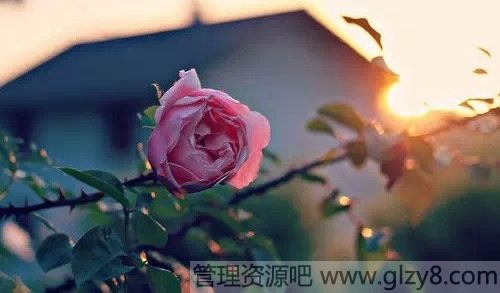 ڴܴһ