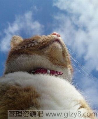 ʲôǿǿ