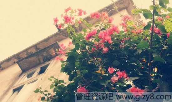 ȥһ˵ֵֵȥ