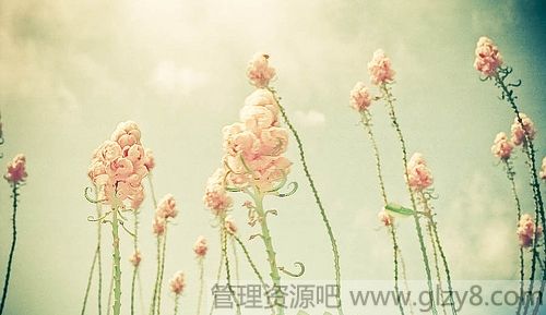 ڶ˵ʱҲĬõĽ
