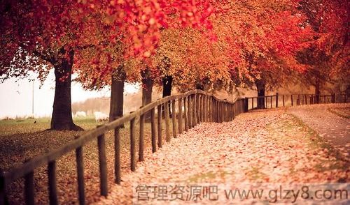 Ѱյ ִ硱