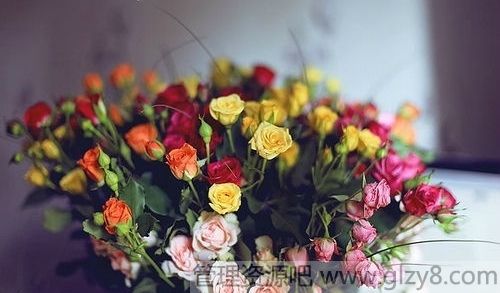 Ц費