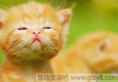 ȴʹƽ