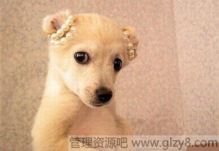 ȴʹƽ