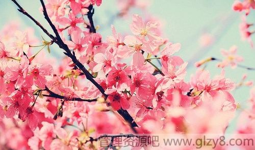 д˽ʣһ