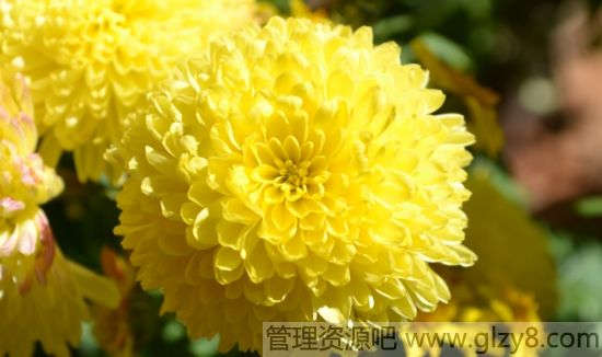 ݵ磬Ż