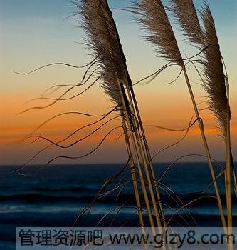 12룬Ӯְǰ;
