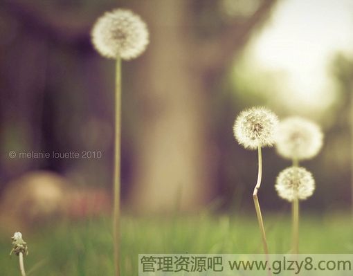 ;УҪѧ·