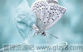 ɳ뾭Ƽɵʹ࣬߷