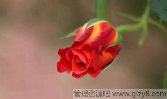 õ廨ѧ