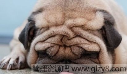 Ц˲ЦĸЦ