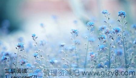 ΨӢİ¼̾