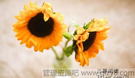 Լøŵ23仰