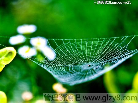 漣Ϊִߴ