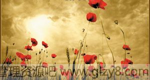 һβˣӴ͸ֲ