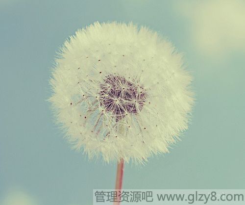 30֮ǰҪúÿǵ30