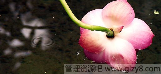 Ӧø ͵ѧ