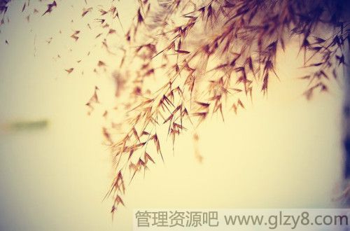 2011꾭ѡ
