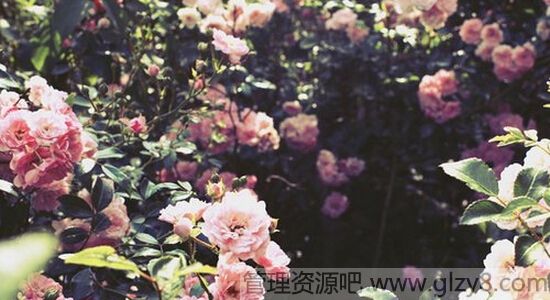 簲ԸеС붼ܹʵ