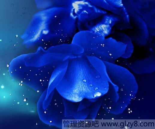 ҵ