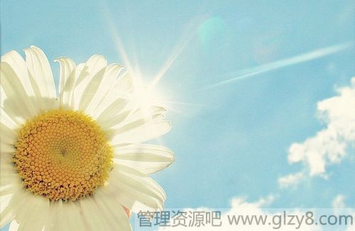 Լ꣬ǿάϵ