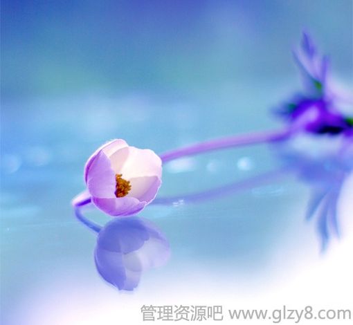 ֻһۣ飬ӿͷ
