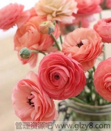 ڴʱǺܳ