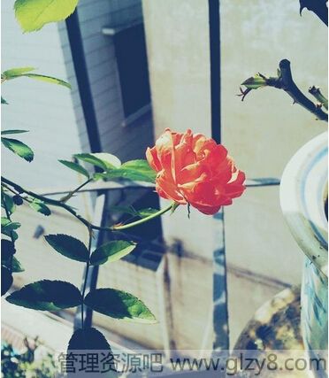 ƽǱܿкǻһ仨