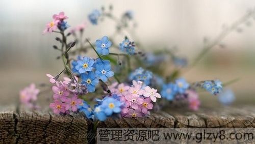 ĩܰ簲
