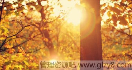 鵽֪ڲԸ