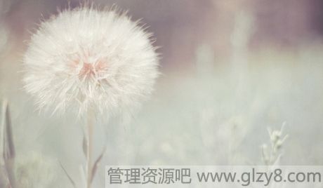 Ũ飬ů빲